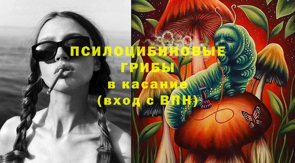 мет Бородино