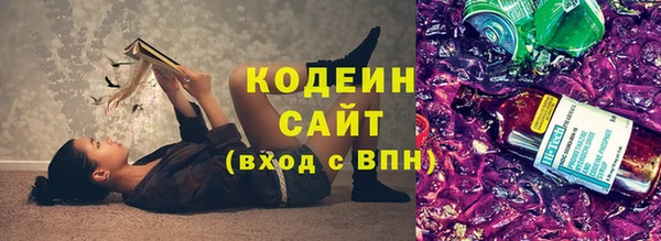 мет Бородино