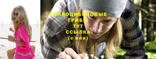 дмт Богородск