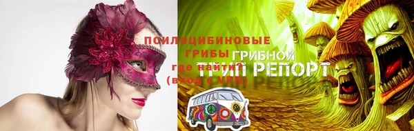 PSILOCYBIN Богданович