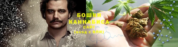 spice Липки